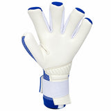 Empire 2.0 Blue/Gold