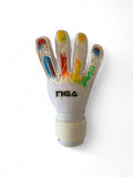 NGA X