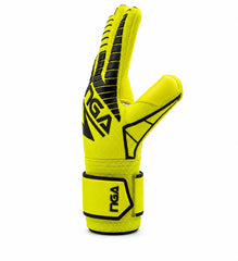NGA Champion Yellow